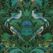 Birdlife Wallpaper gallery detail image