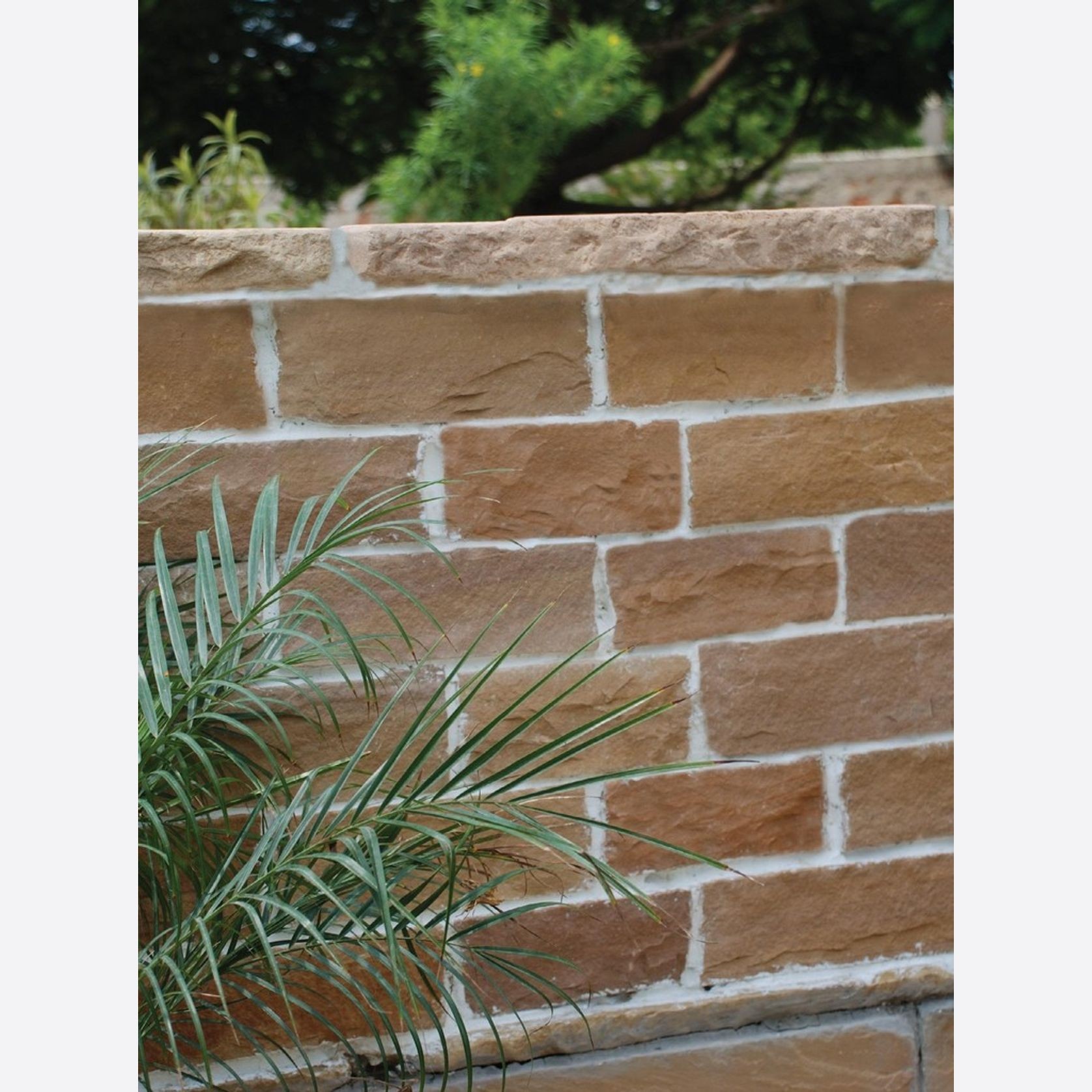 Ochre Beige | Natural Stone Walling gallery detail image