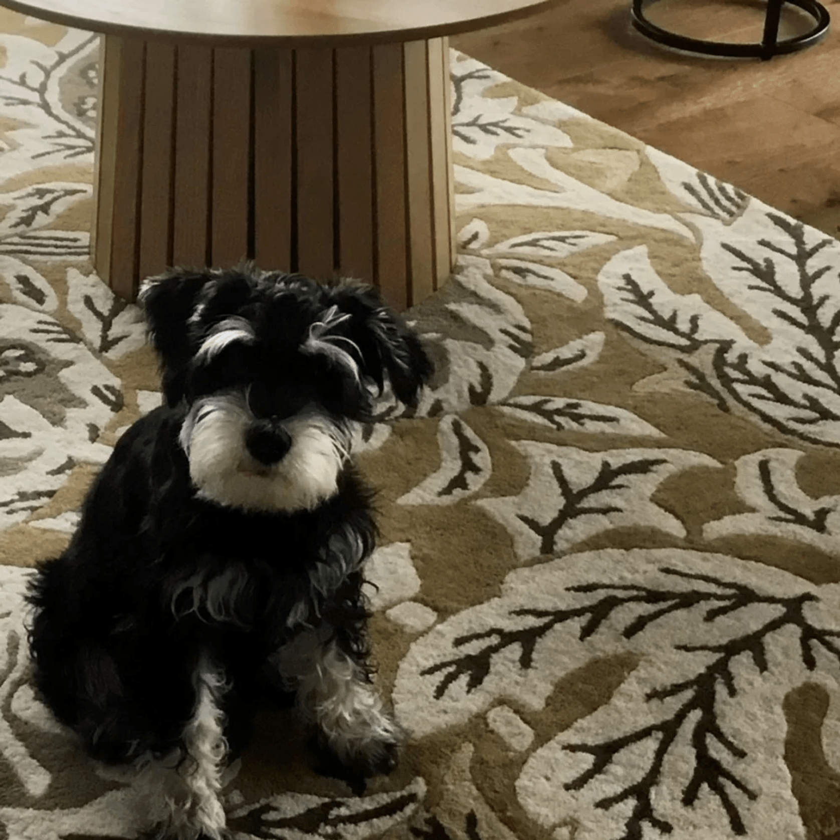 Rugs by Lahood gallery detail image