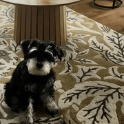 Rugs by Lahood gallery detail image