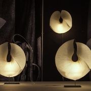 Yoruba Rose gallery detail image