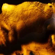 Honey Onyx | Onyx Collection gallery detail image