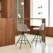 Aleta Counter Stool - Swivel gallery detail image