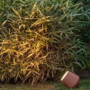 Concreta Outdoor Lighting gallery detail image