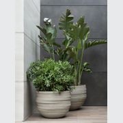 UF gallery detail image