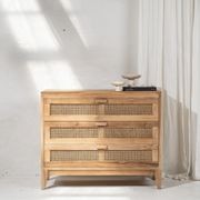 Ayana Rattan & Recycled Teak Drawers gallery detail image