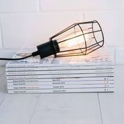 Industrial Cage Light - Black gallery detail image