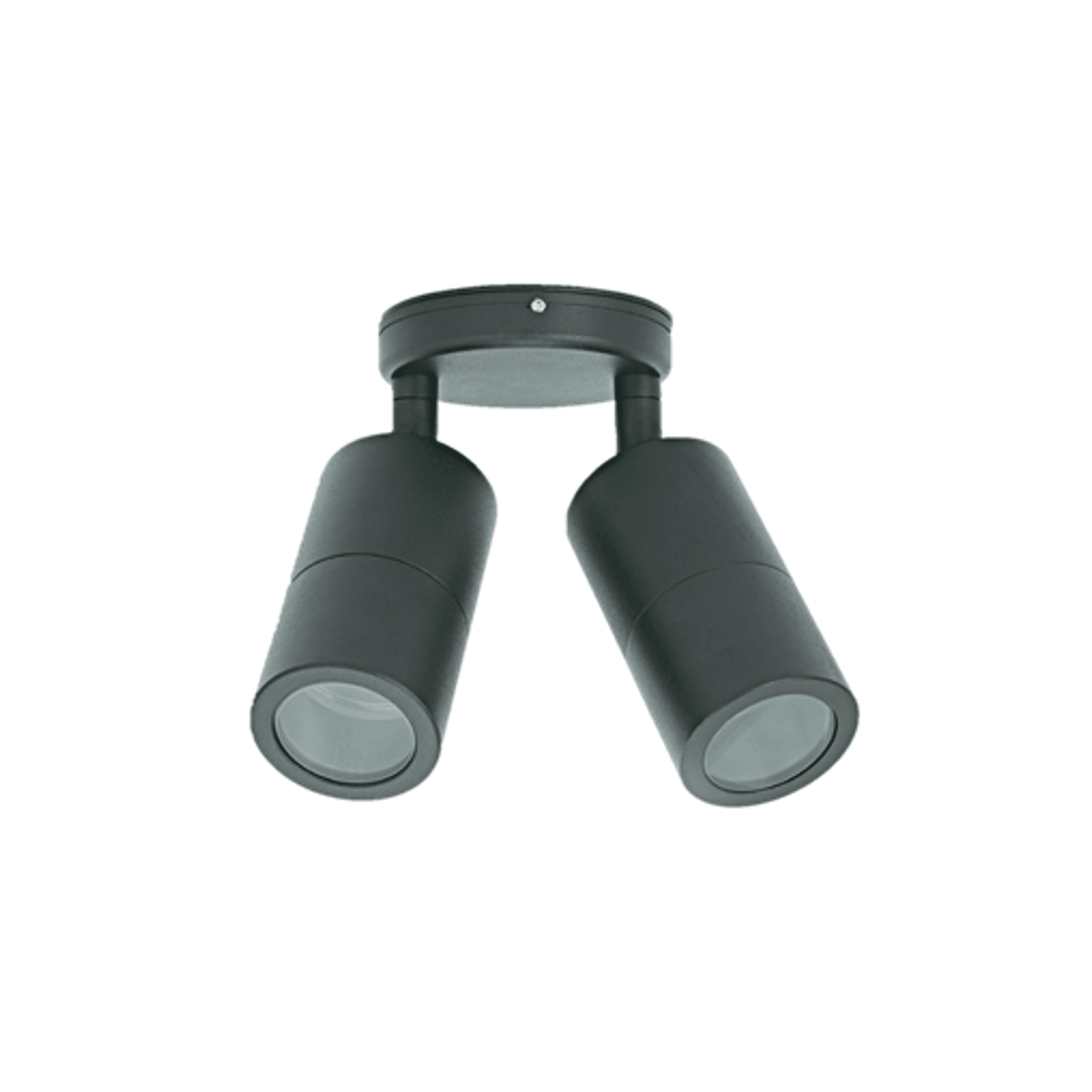 Mounted Double Adjustable Outdoor Light gallery detail image