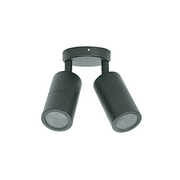 Mounted Double Adjustable Outdoor Light gallery detail image