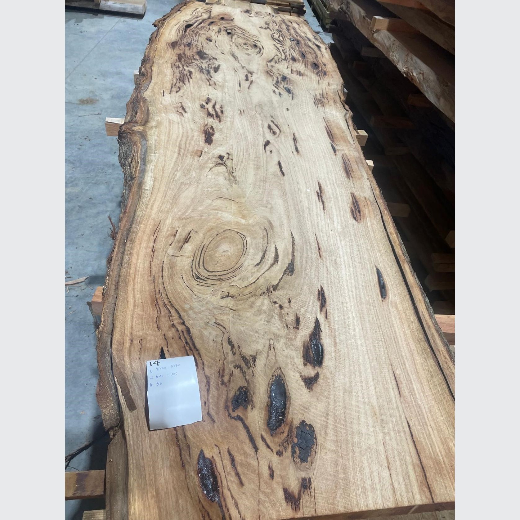 Eucalyptus Slabs gallery detail image