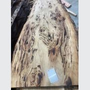 Eucalyptus Slabs gallery detail image