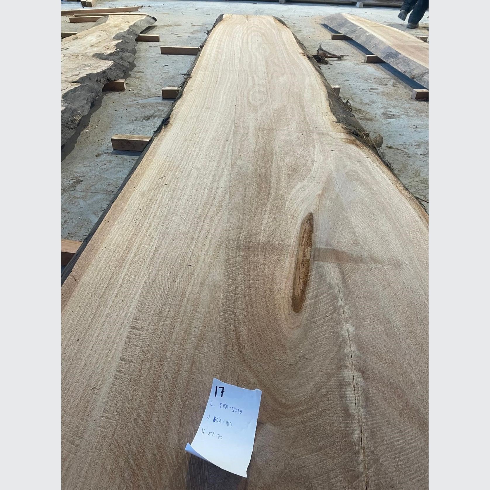 Eucalyptus Slabs gallery detail image