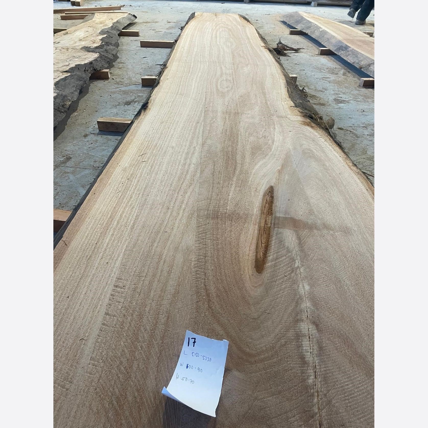 Eucalyptus Slabs gallery detail image