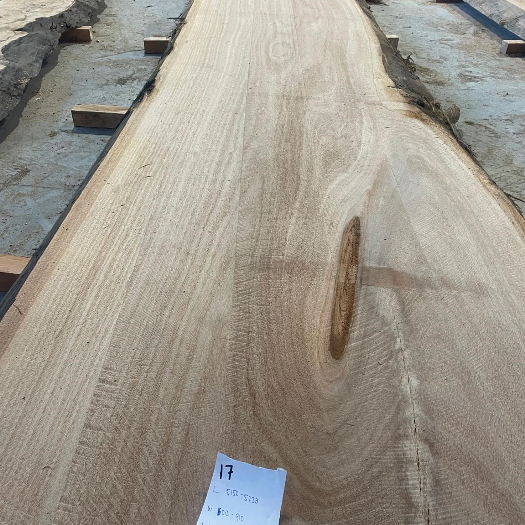 Eucalyptus Slabs gallery detail image