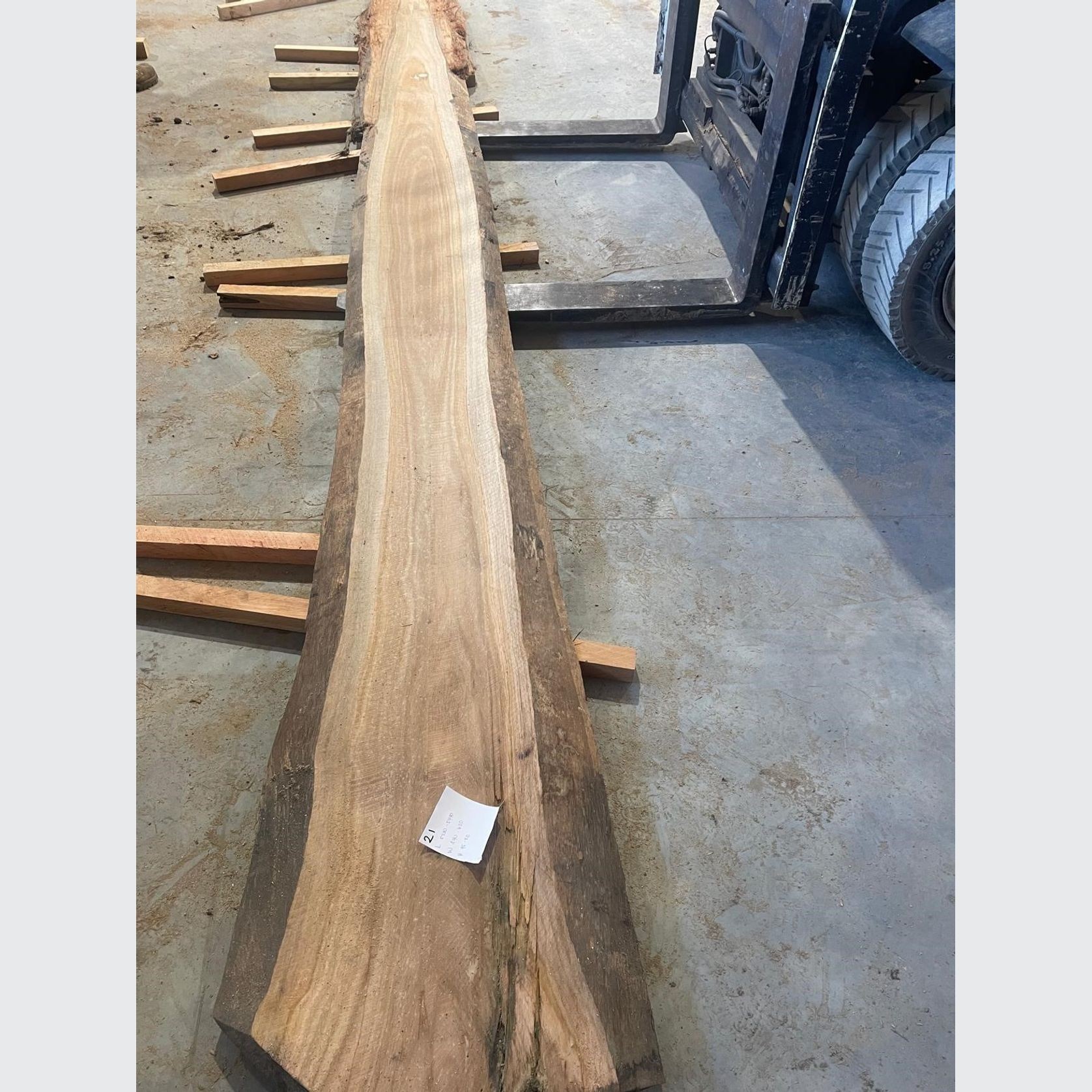 Eucalyptus Slabs gallery detail image