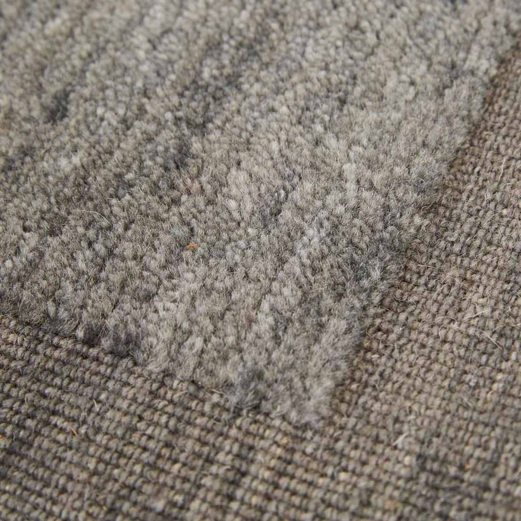 Soren Liv Bower Frame Rug - Orion gallery detail image