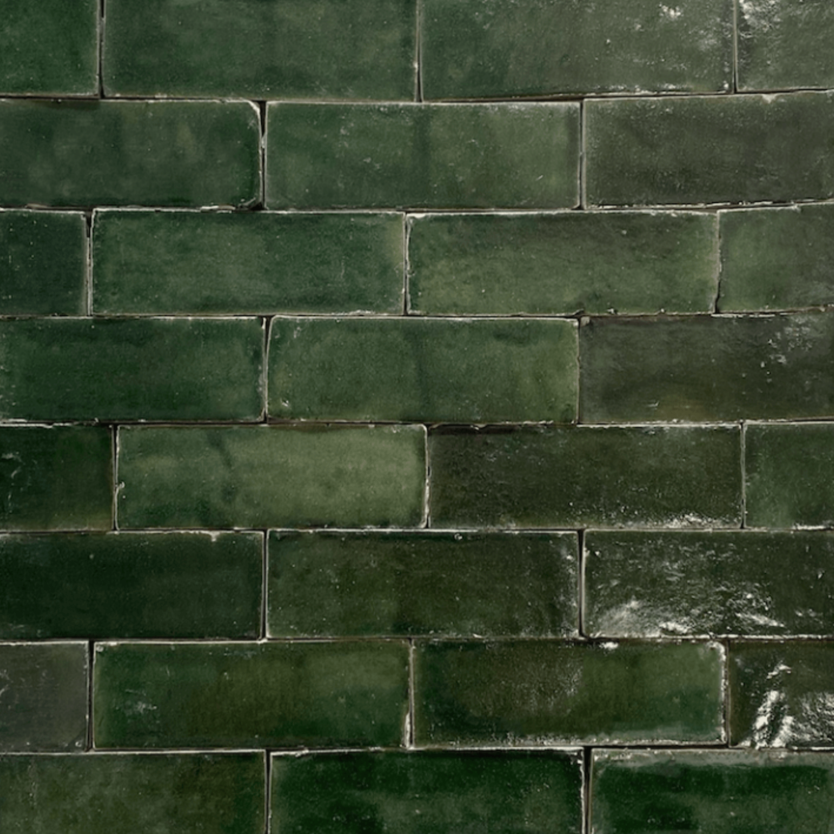 Kelp Bejmat gallery detail image