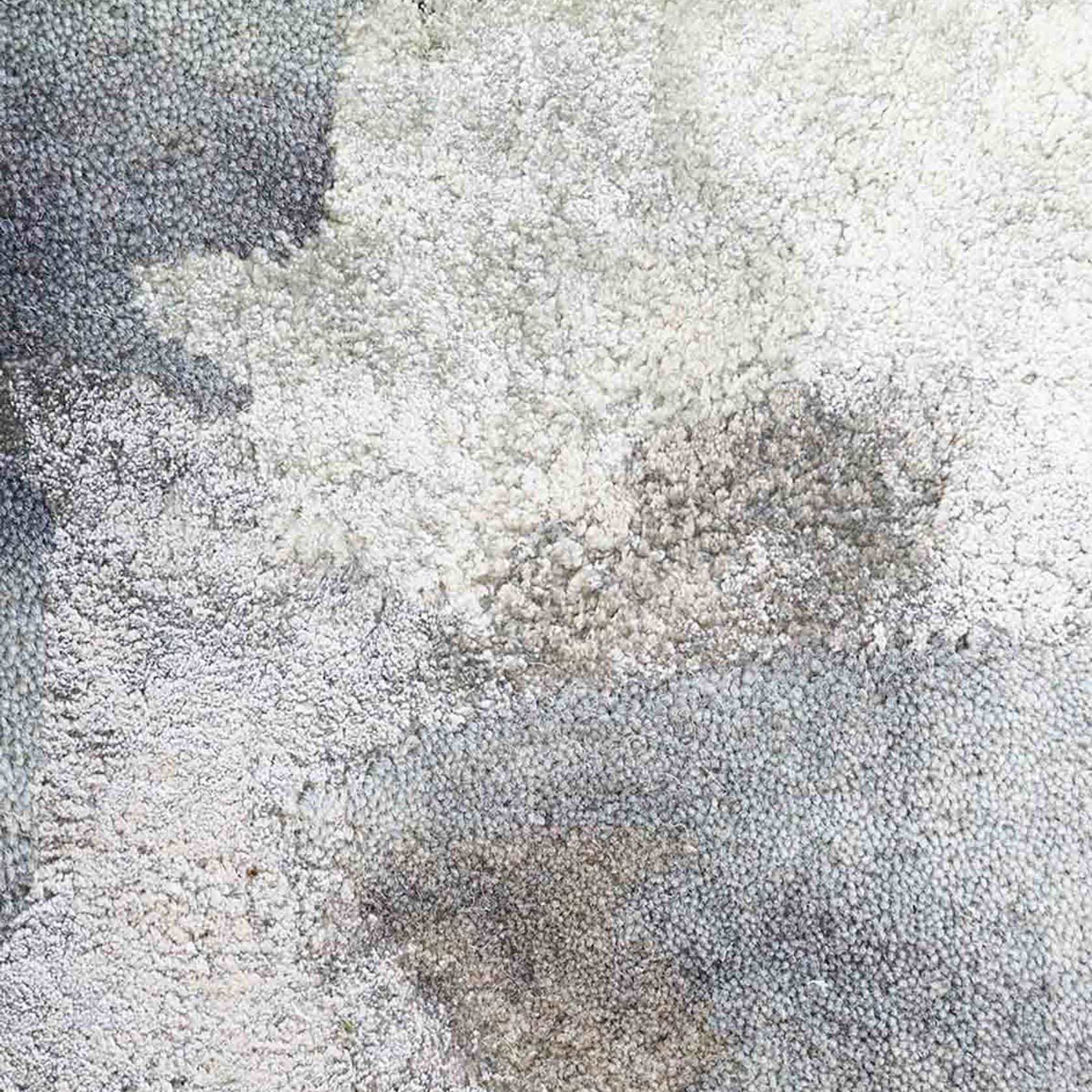 Baya Cape Brett Floor Rug gallery detail image