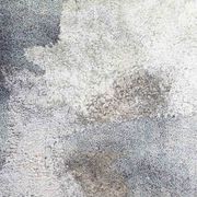 Baya Cape Brett Floor Rug gallery detail image