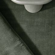 Cashmere Rug | Sage gallery detail image