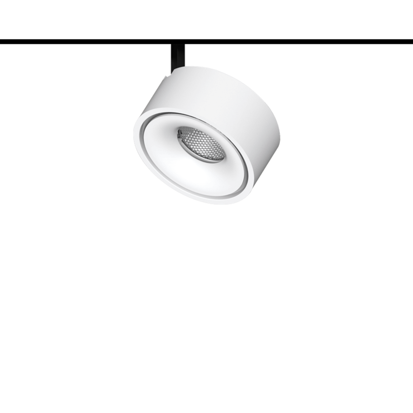 Circo-2 gallery detail image