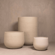 Hibernate Cluster No. 4 | Chalk/Stone gallery detail image