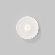 Coral Dome Wall Light gallery detail image