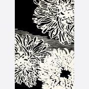 Fuyu gallery detail image
