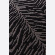Tigre gallery detail image