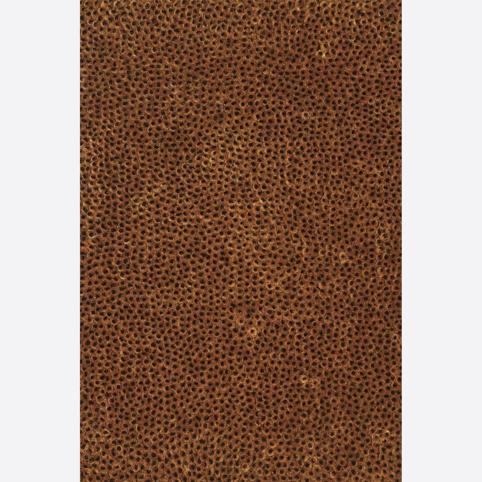 Coral Cut Dark Bronze Black Core gallery detail image