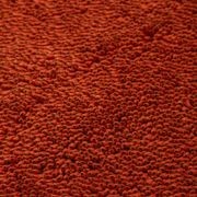 Coral Shag Tabasco Red Black Core gallery detail image