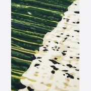 Pillowy Grass gallery detail image