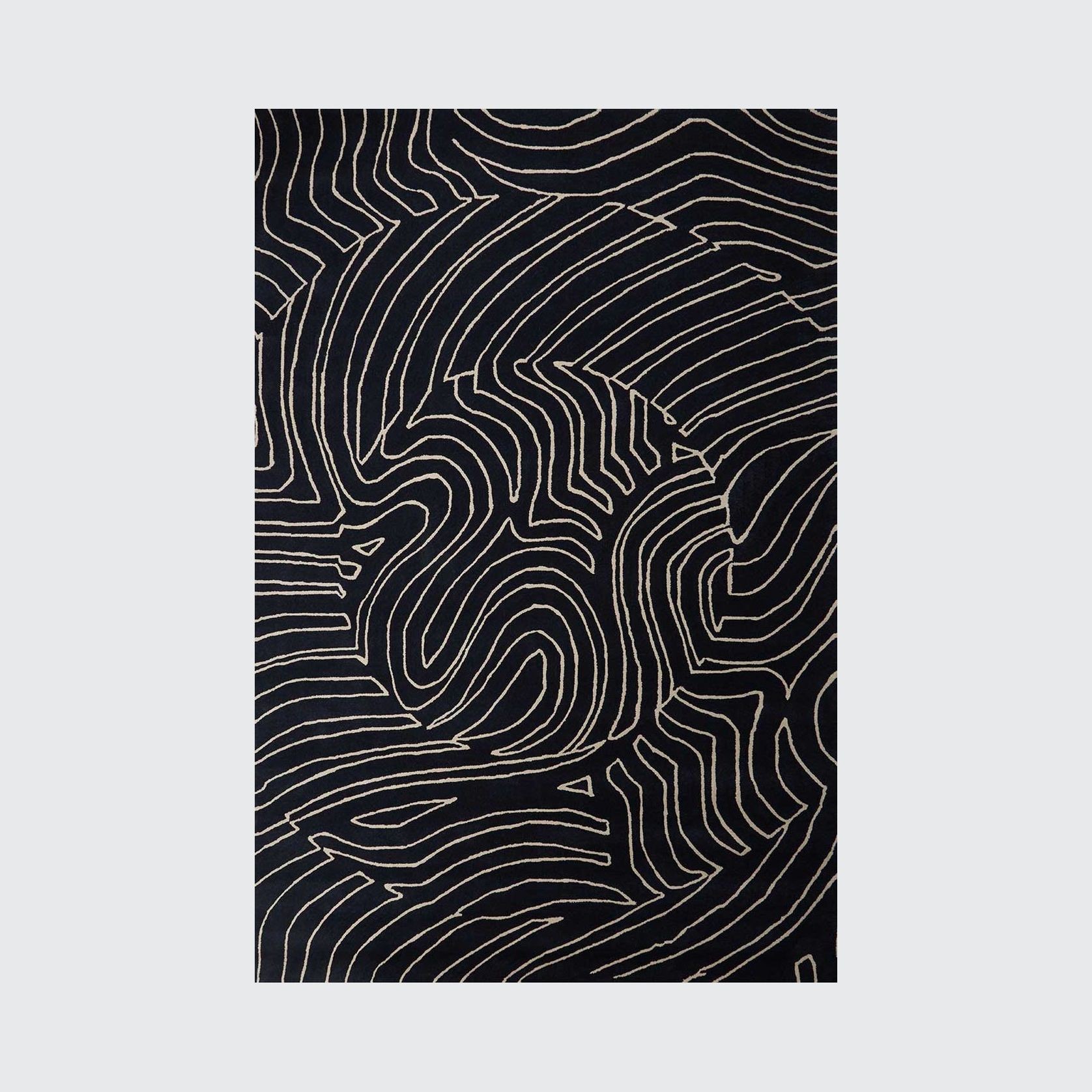 Nautilus gallery detail image