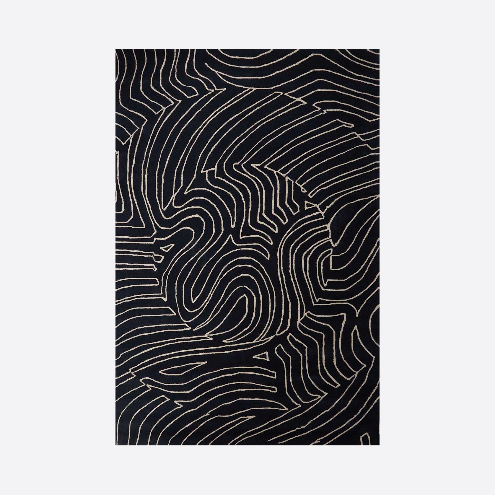 Nautilus gallery detail image