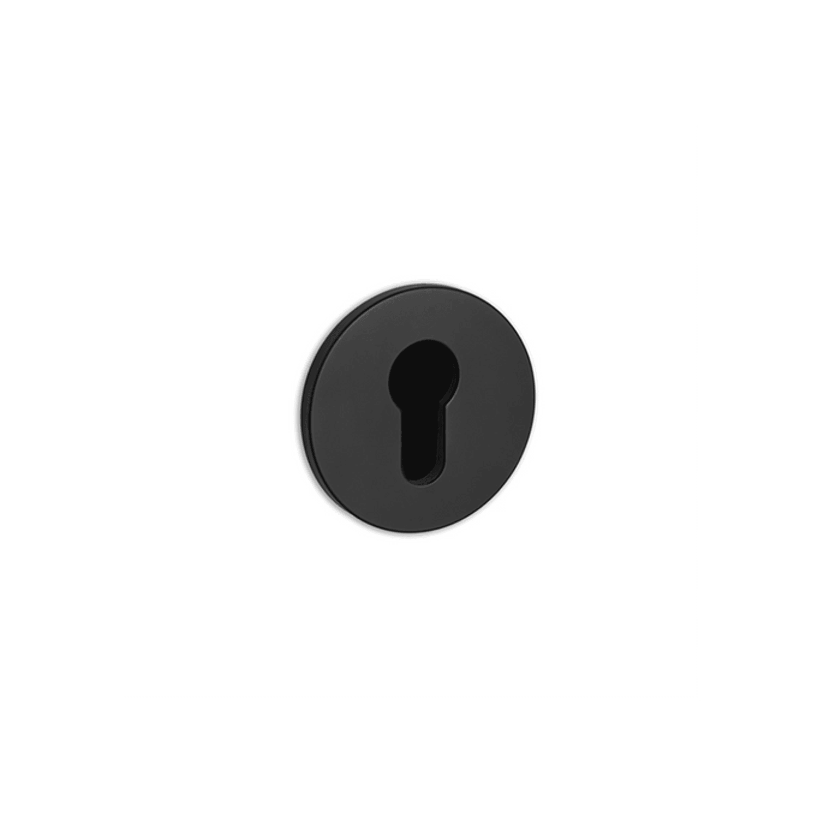Buster + Punch Euro Escutcheon gallery detail image