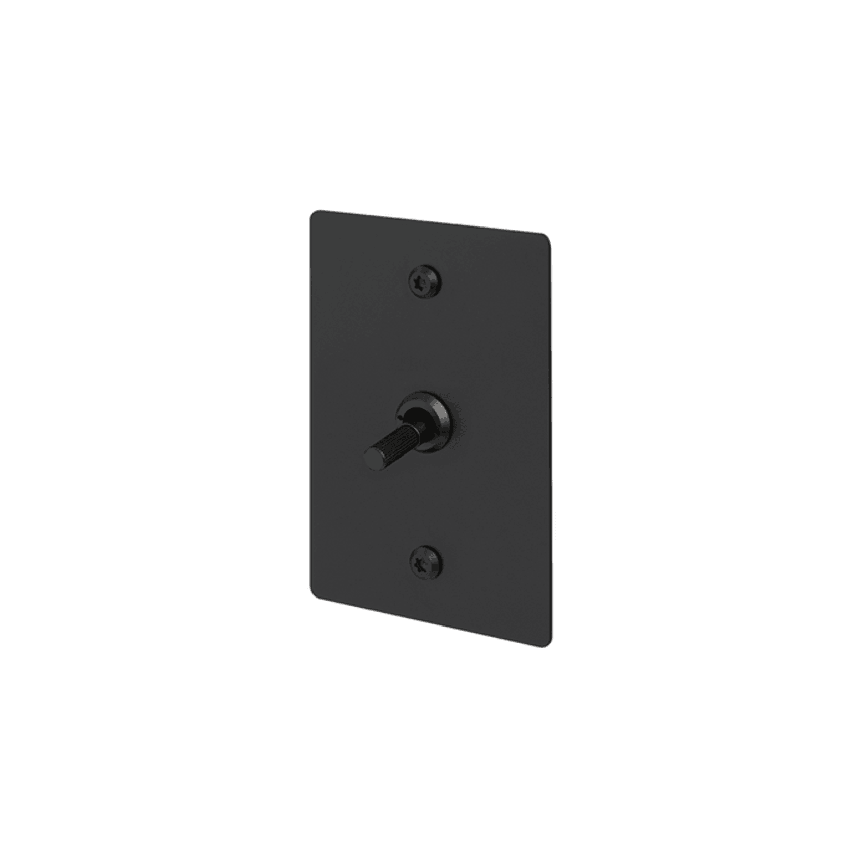 Buster + Punch 1G Toggle Vertical 2-Way Linear gallery detail image