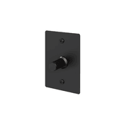 Buster + Punch 1G Dimmer Vertical 250W Linear gallery detail image