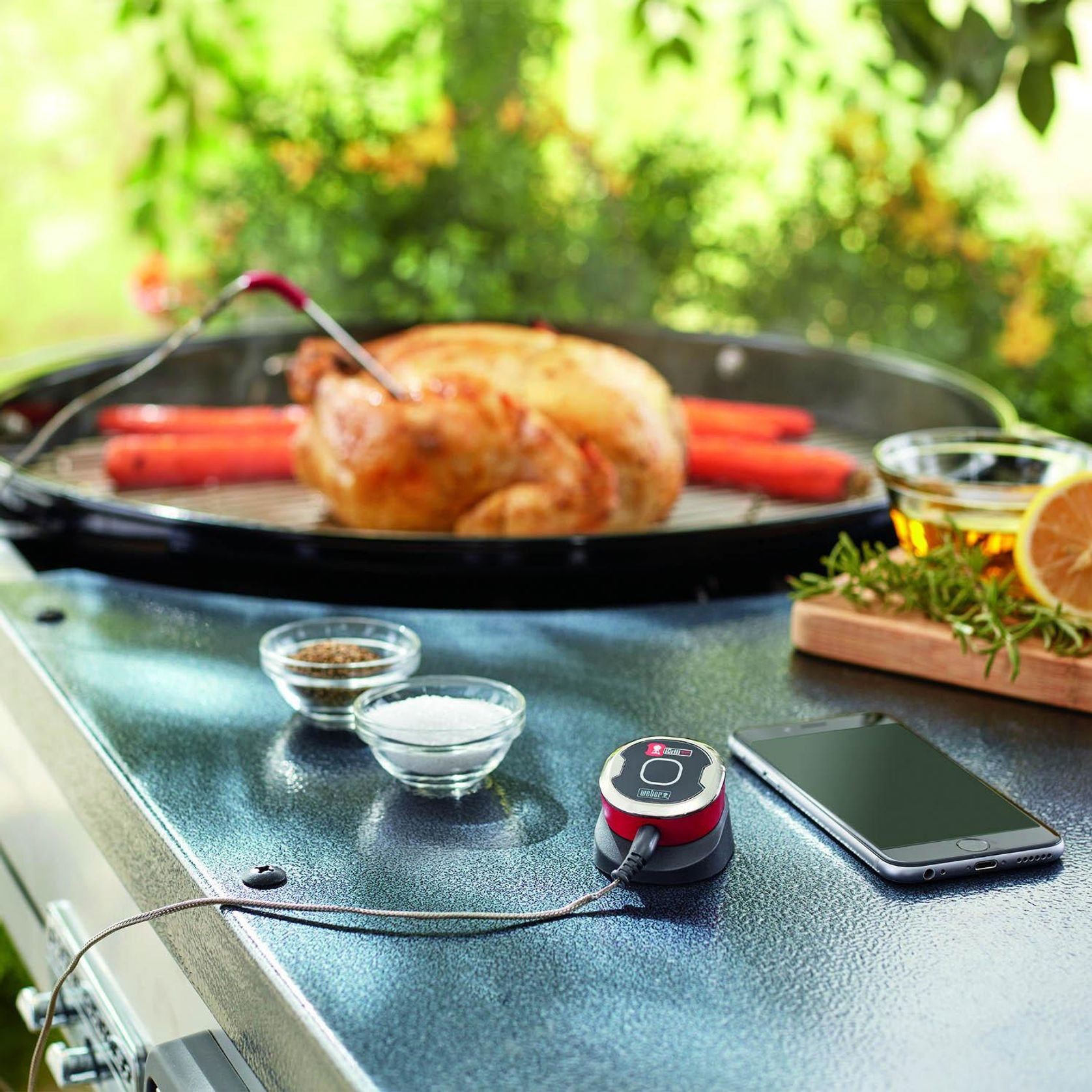 Weber iGrill Mini Bluetooth Thermometer gallery detail image