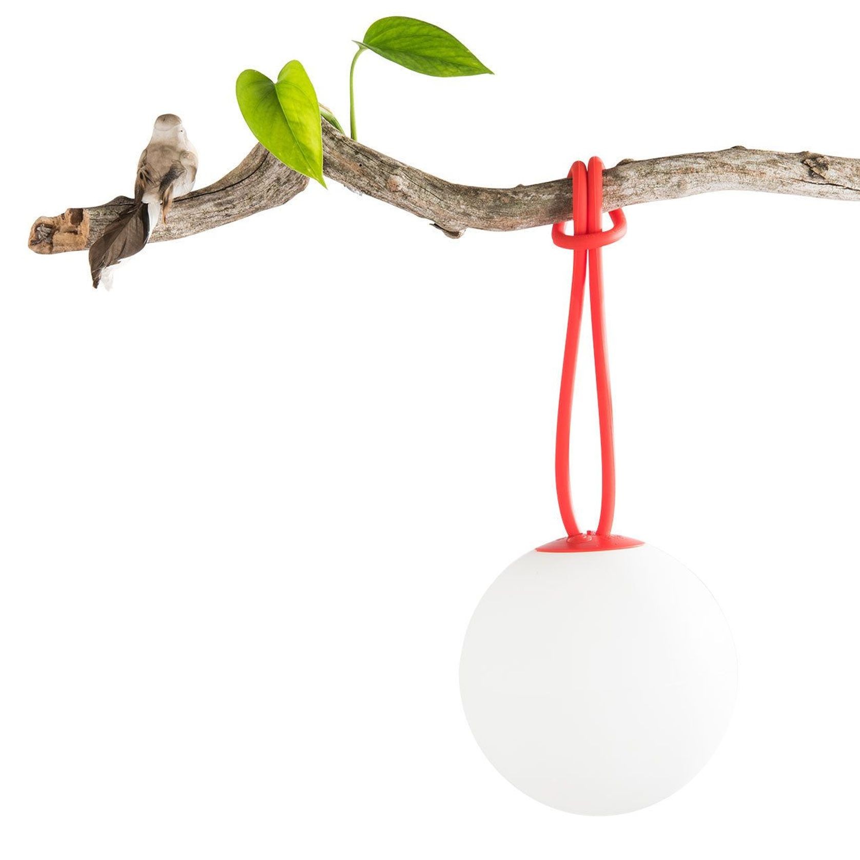 Fatboy Bolleke gallery detail image