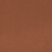 Freifrau | Leya Lounge Chair | Wire Frame | Cairo Cognac Leather gallery detail image