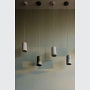 Ceiling Rose gallery detail image