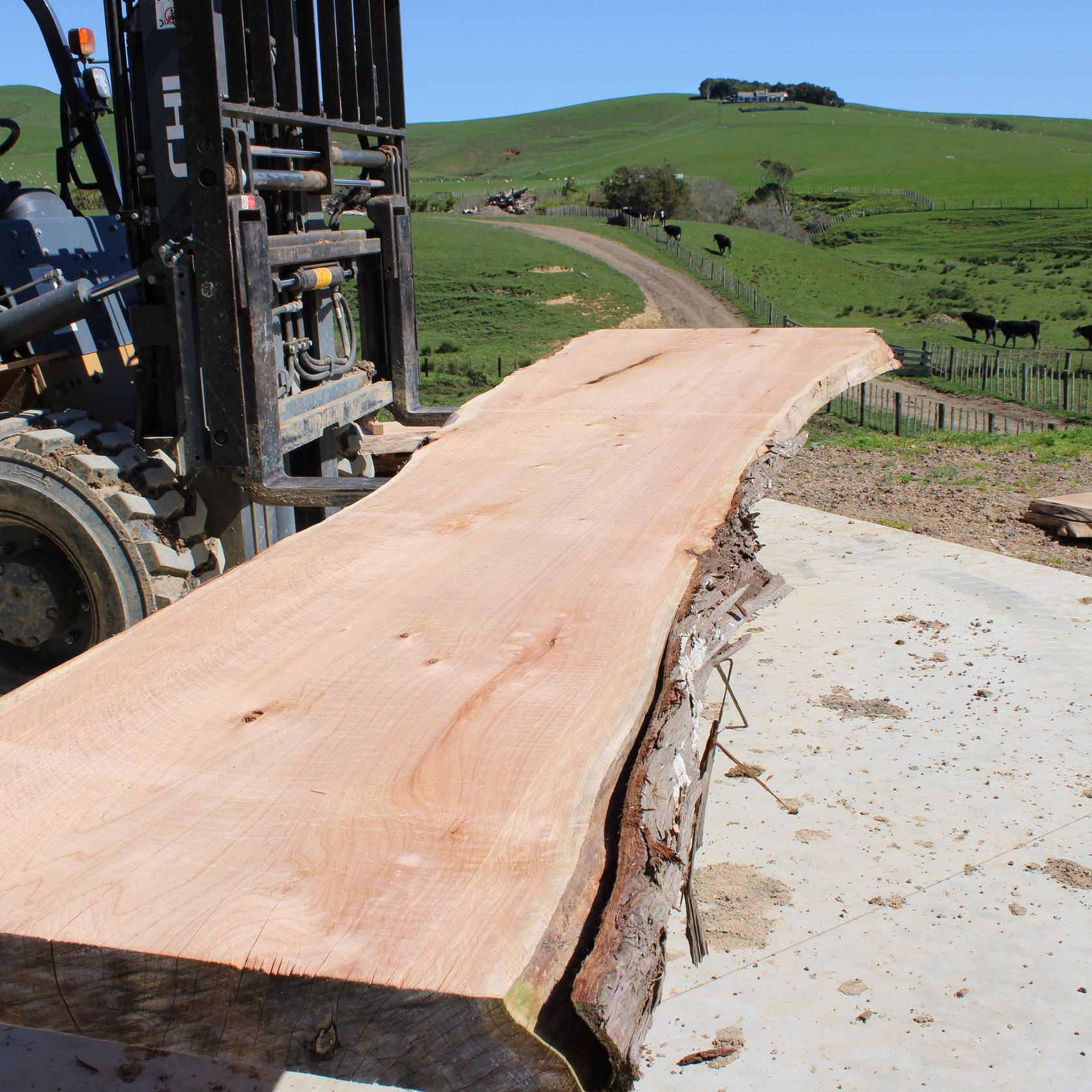 Macrocarpa Slabs gallery detail image