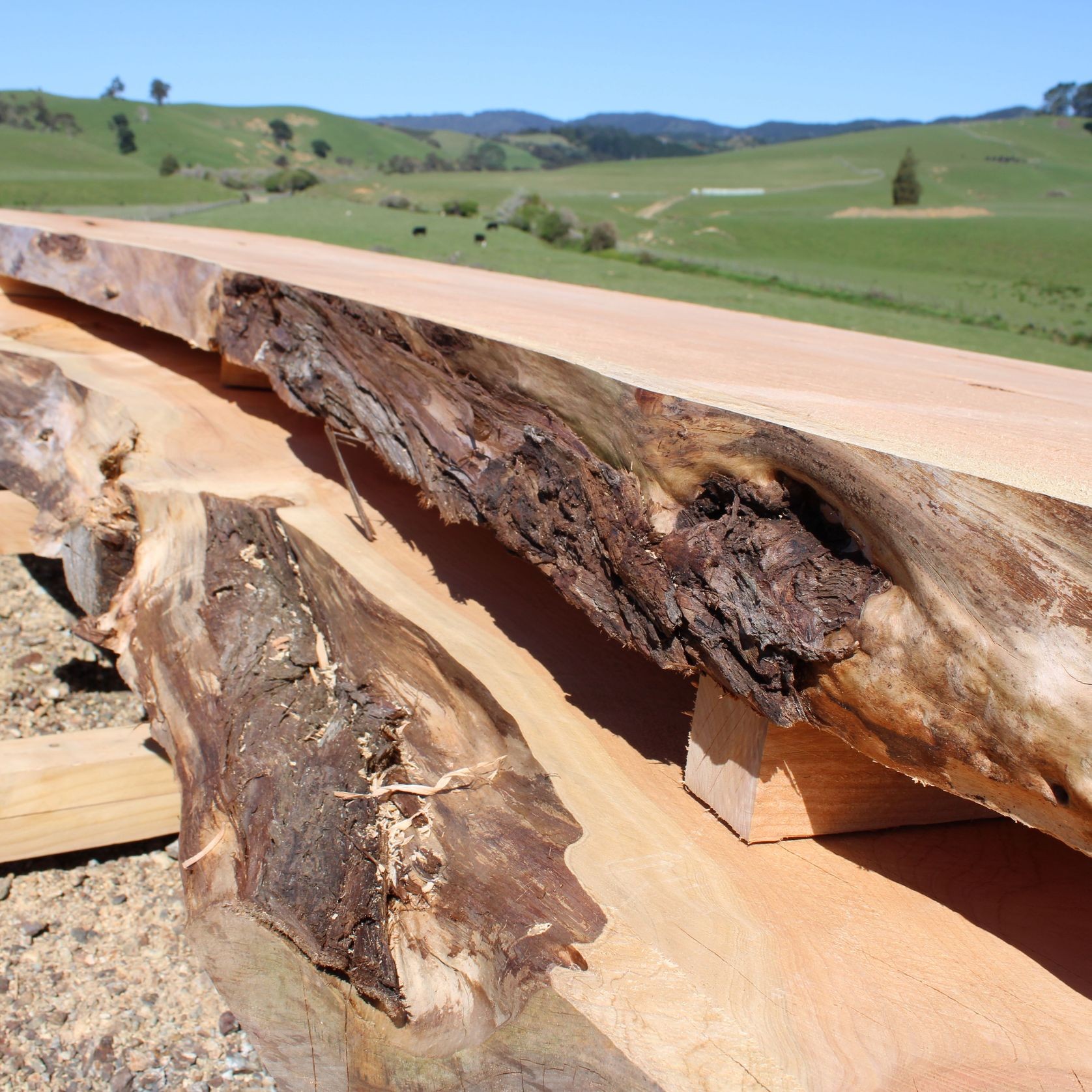 Macrocarpa Slabs gallery detail image