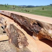 Macrocarpa Slabs gallery detail image