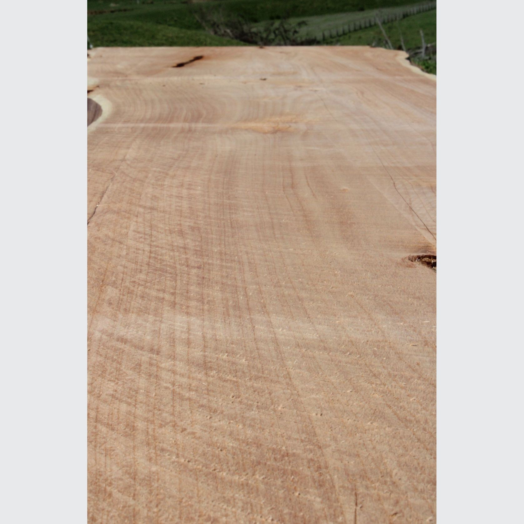 Macrocarpa Slabs gallery detail image