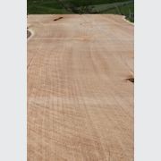 Macrocarpa Slabs gallery detail image