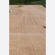 Macrocarpa Slabs gallery detail image