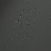 imi plus gallery detail image