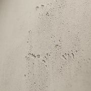 imi acoustic gallery detail image