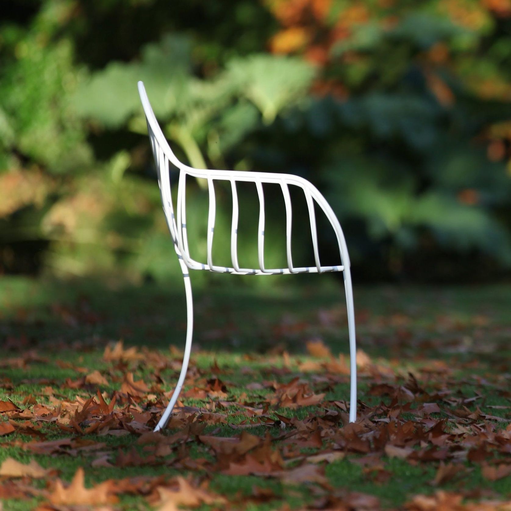 Folia gallery detail image